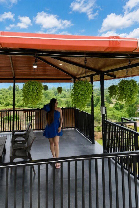 The upper gazebo deck with hanging plants