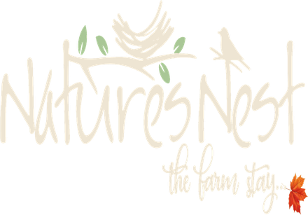 Nature's Nest — The Farm Stay