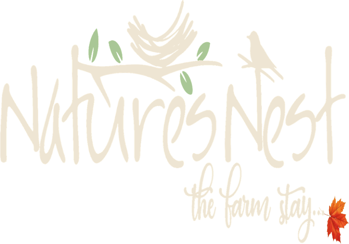 Nature's Nest — The Farm Stay