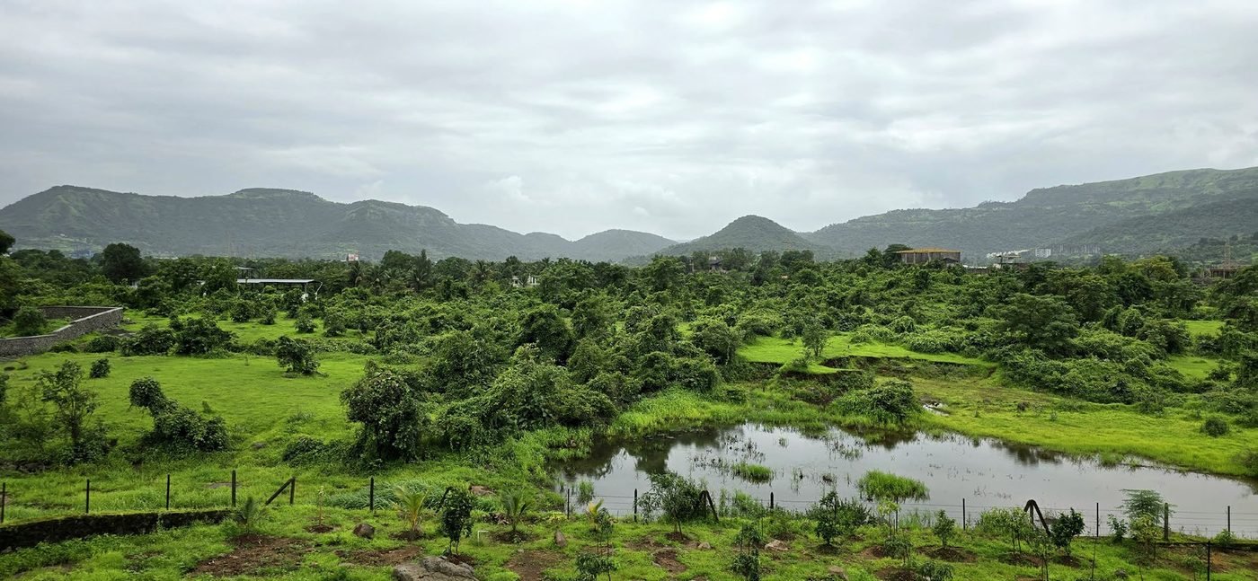 Green hills around the farm in the monsoon